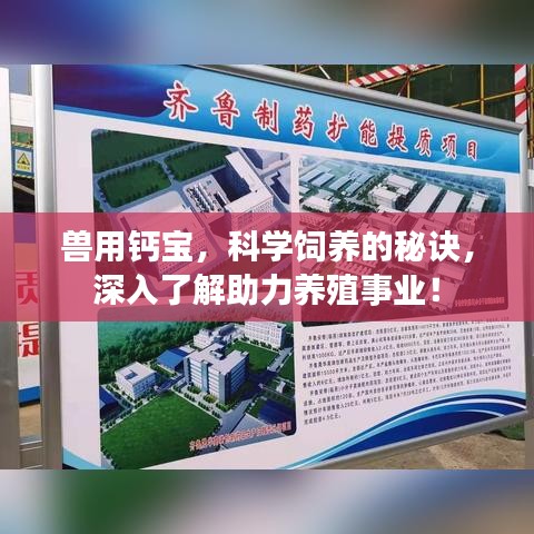 兽用钙宝，科学饲养的秘诀，深入了解助力养殖事业！