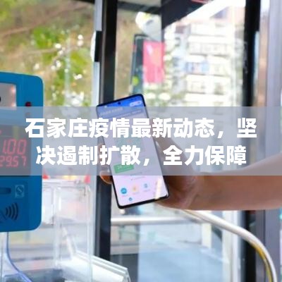 石家庄疫情最新动态，坚决遏制扩散，全力保障民众健康