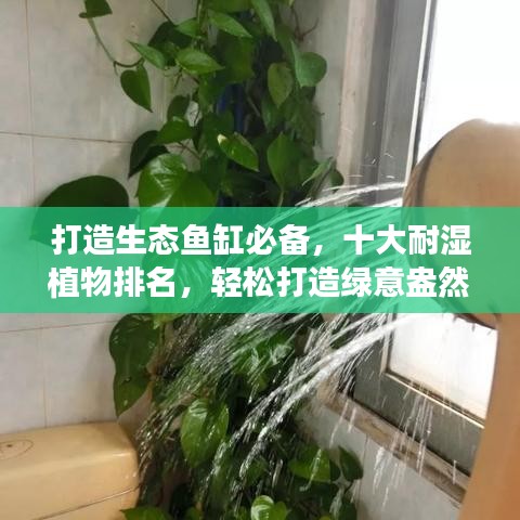 打造生态鱼缸必备，十大耐湿植物排名，轻松打造绿意盎然的水族生态世界！