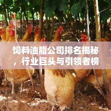 饲料油脂公司排名揭秘，行业巨头与引领者榜单