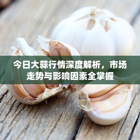 今日大蒜行情深度解析，市场走势与影响因素全掌握