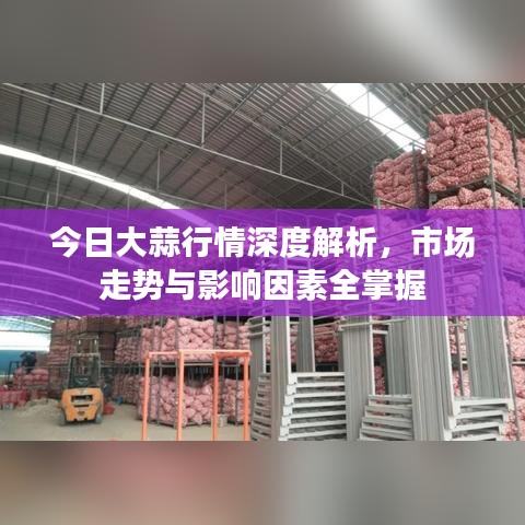 今日大蒜行情深度解析,市场走势与影响因素全掌握