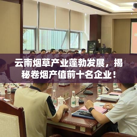 云南烟草产业蓬勃发展，揭秘卷烟产值前十名企业！