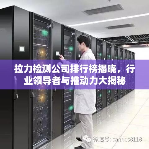 拉力检测公司排行榜揭晓，行业领导者与推动力大揭秘