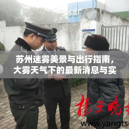 苏州迷雾美景与出行指南，大雾天气下的最新消息与实用建议