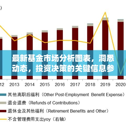 最新基金市场分析图表，洞悉动态，投资决策的关键信息参考