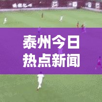 泰州今日热点新闻综述，最新消息一览