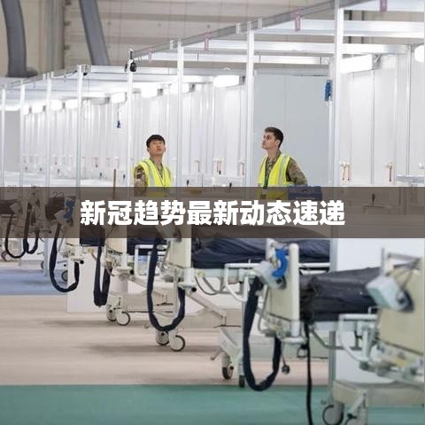 新冠趋势最新动态速递