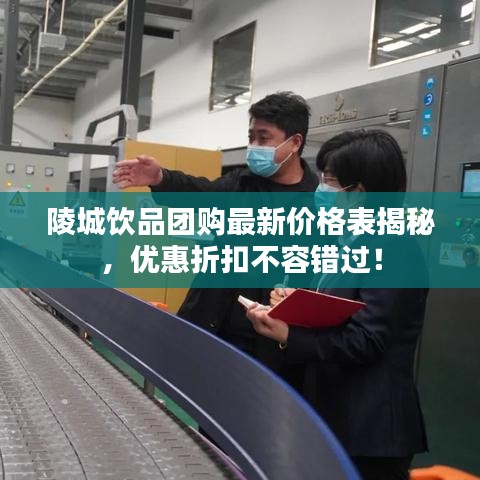 陵城饮品团购最新价格表揭秘，优惠折扣不容错过！