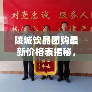 陵城饮品团购最新价格表揭秘,优惠折扣不容错过!