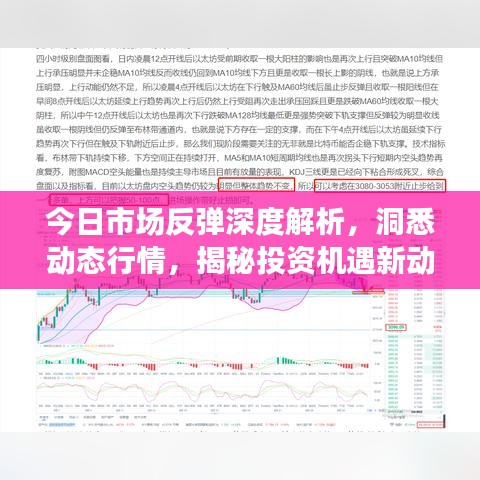 今日市场反弹深度解析，洞悉动态行情，揭秘投资机遇新动向