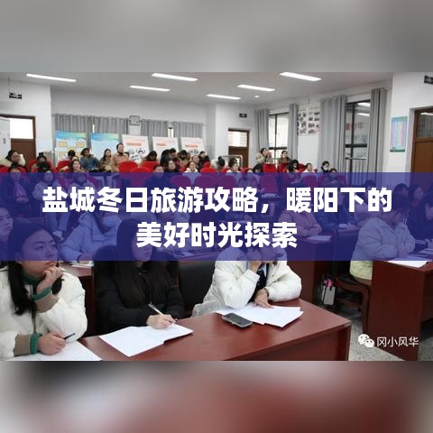盐城冬日旅游攻略，暖阳下的美好时光探索