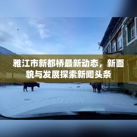 雅江市新都桥最新动态，新面貌与发展探索新闻头条