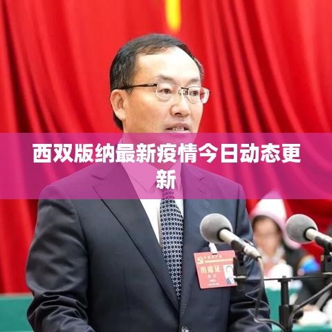 西双版纳最新疫情今日动态更新