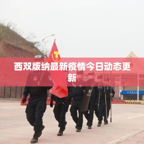 西双版纳最新疫情今日动态更新