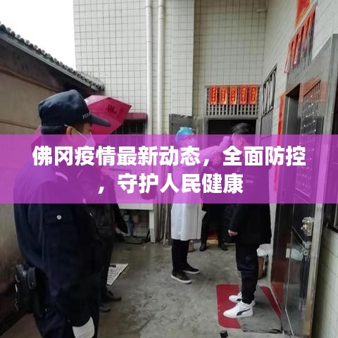 佛冈疫情最新动态，全面防控，守护人民健康