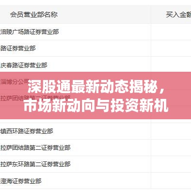 深股通最新动态揭秘，市场新动向与投资新机遇解析