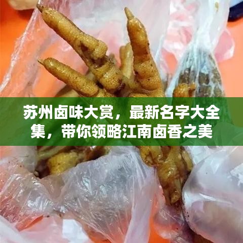 苏州卤味大赏，最新名字大全集，带你领略江南卤香之美