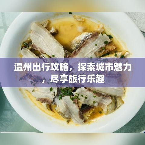 温州出行攻略，探索城市魅力，尽享旅行乐趣