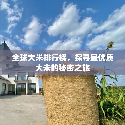 全球大米排行榜,探寻最优质大米的秘密之旅