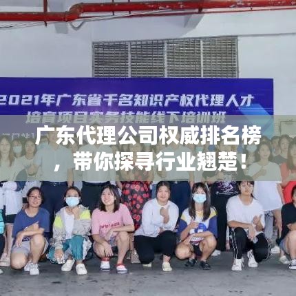 广东代理公司权威排名榜，带你探寻行业翘楚！