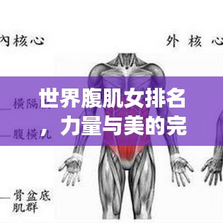 世界腹肌女排名，力量与美的完美结合，震撼你的视觉！