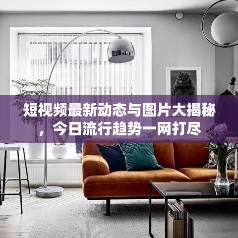 短视频最新动态与图片大揭秘，今日流行趋势一网打尽