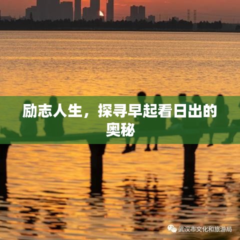励志人生，探寻早起看日出的奥秘