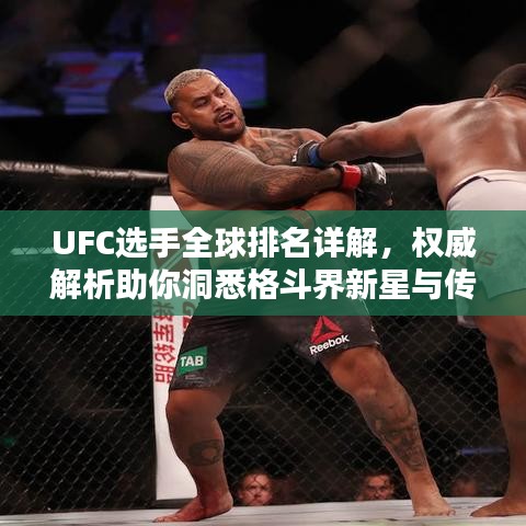 UFC选手全球排名详解，权威解析助你洞悉格斗界新星与传奇之战！
