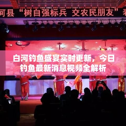 白河钓鱼盛宴实时更新，今日钓鱼最新消息视频全解析