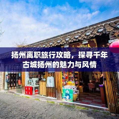 扬州离职旅行攻略，探寻千年古城扬州的魅力与风情