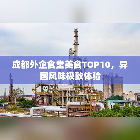 成都外企食堂美食TOP10，异国风味极致体验