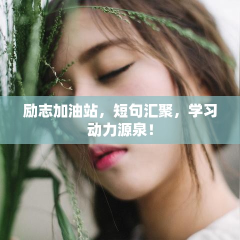 励志加油站，短句汇聚，学习动力源泉！