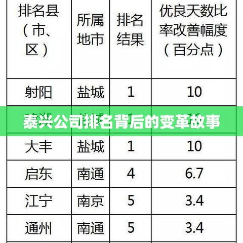 泰兴公司排名背后的变革故事