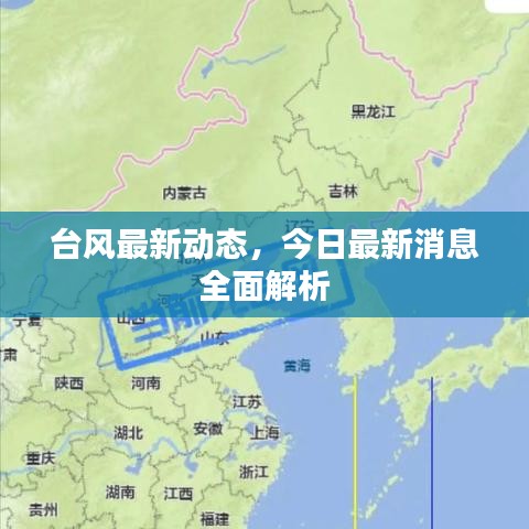 台风最新动态，今日最新消息全面解析