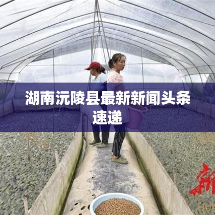 湖南沅陵县最新新闻头条速递