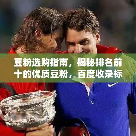 豆粉选购指南，揭秘排名前十的优质豆粉，百度收录标准吸睛标题