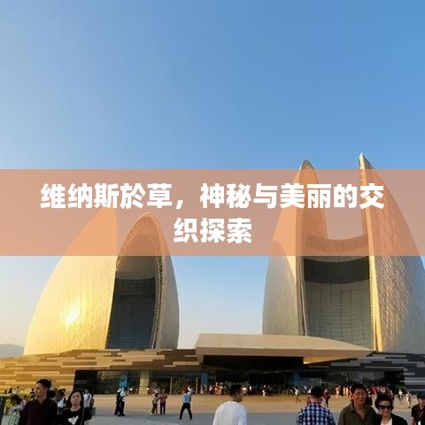 维纳斯於草，神秘与美丽的交织探索