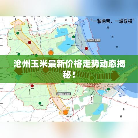 沧州玉米最新价格走势动态揭秘！