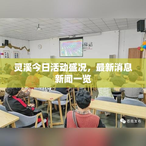 灵溪今日活动盛况，最新消息新闻一览