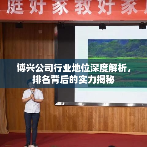 博兴公司行业地位深度解析，排名背后的实力揭秘