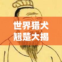 世界猎犬翘楚大揭秘，最佳猎犬排名榜单！