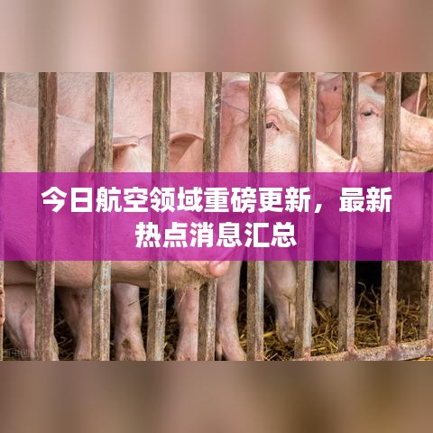 今日航空领域重磅更新，最新热点消息汇总