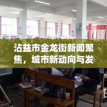 沾益市金龙街新闻聚焦，城市新动向与发展亮点揭秘