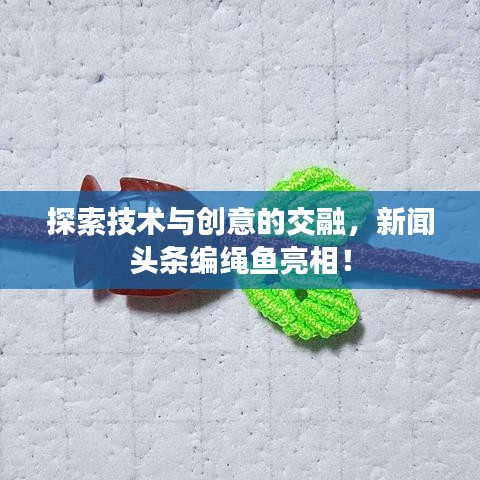 探索技术与创意的交融，新闻头条编绳鱼亮相！