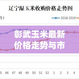 彰武玉米最新价格走势与市场深度解析