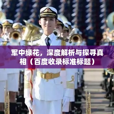 军中绿花，深度解析与探寻真相（百度收录标准标题）