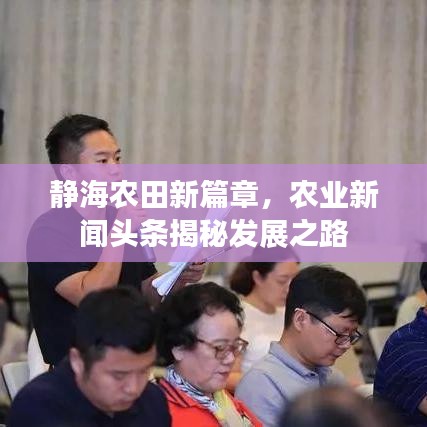静海农田新篇章，农业新闻头条揭秘发展之路