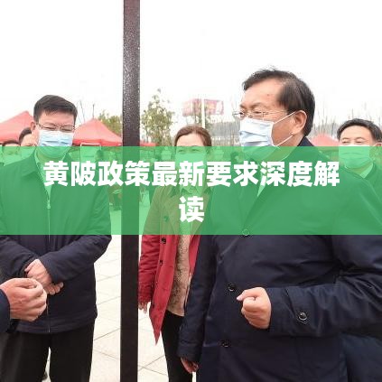 黄陂政策最新要求深度解读