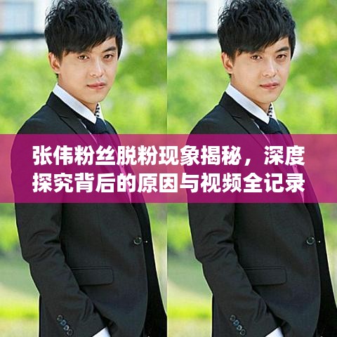张伟粉丝脱粉现象揭秘，深度探究背后的原因与视频全记录
